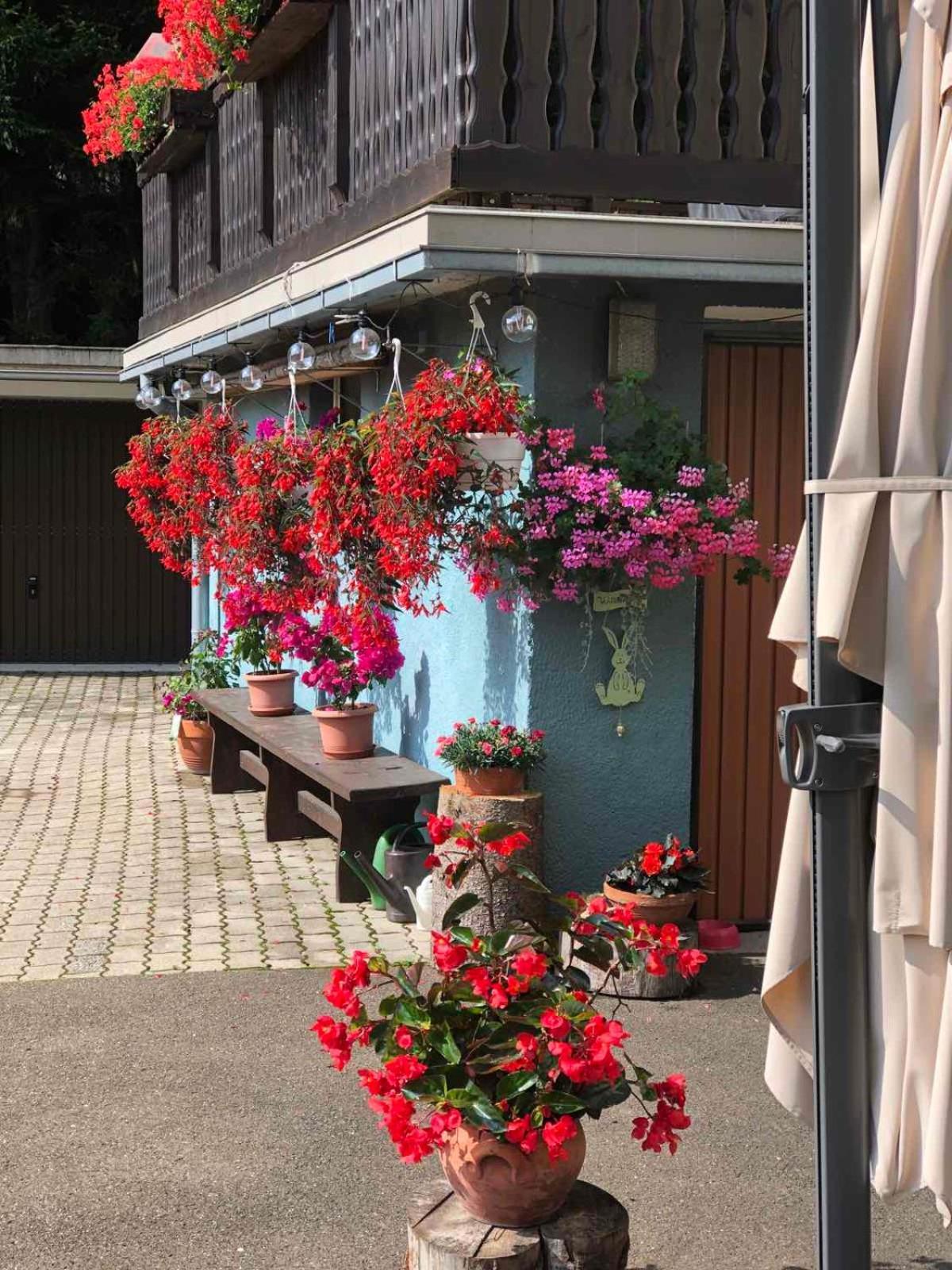 Bed and Breakfast Haus-Erzberg Vordernberg Экстерьер фото